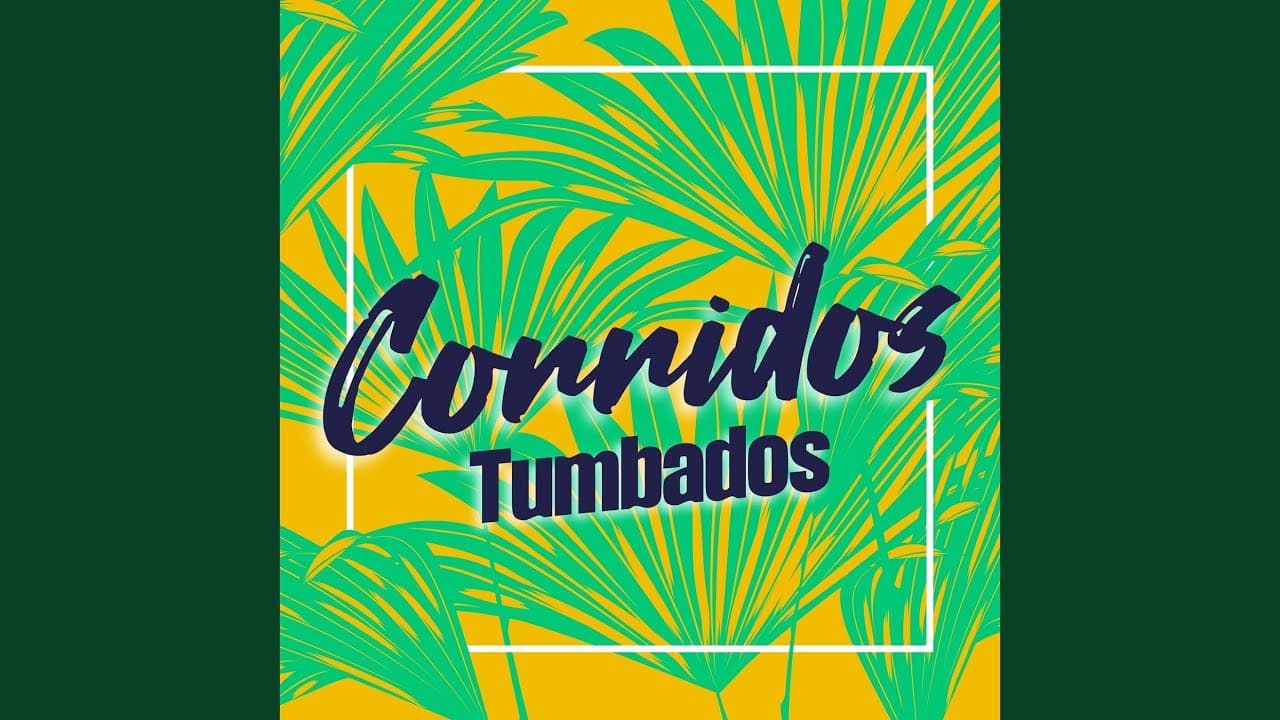 Necesito Decirte - Conjunto Primavera