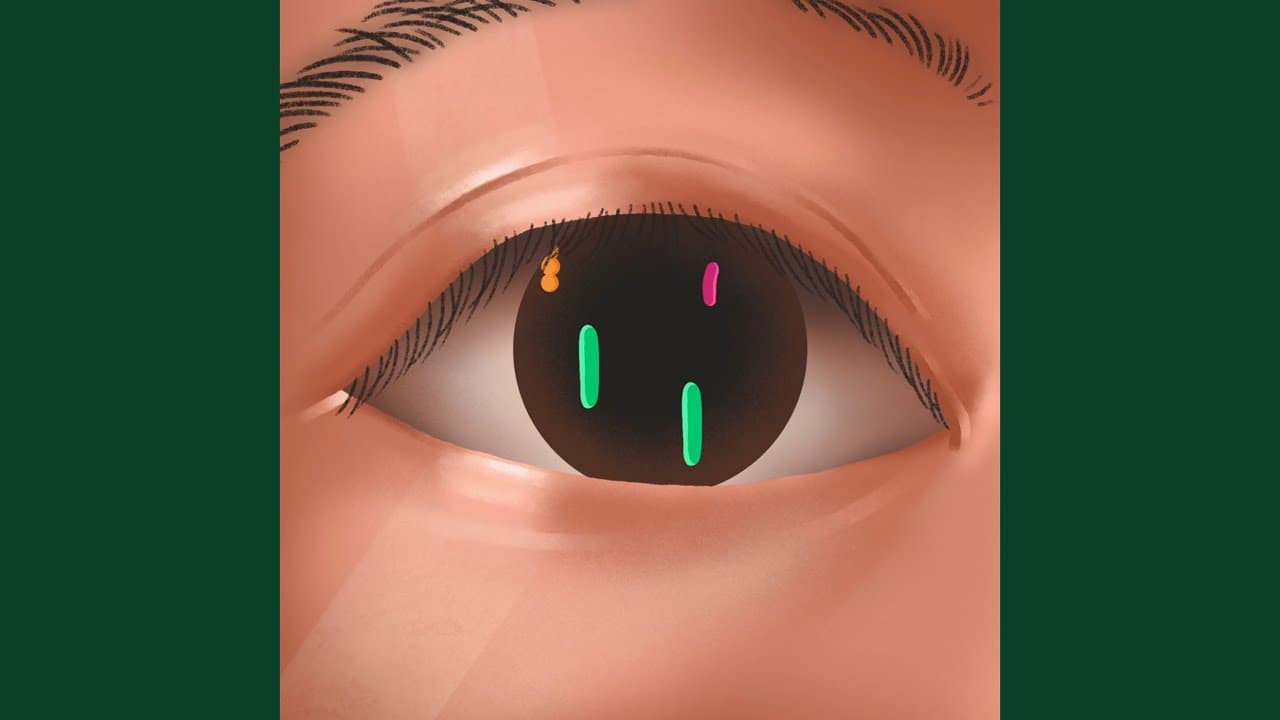 hello em có khỏe không - Dfoxie37