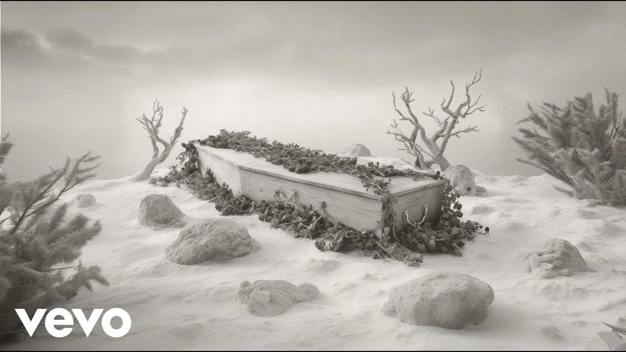 Amelie (Visual) - Kid Yugi