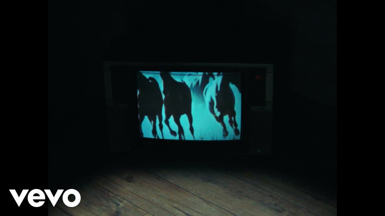 Ci nasci, ci muori - Nayt