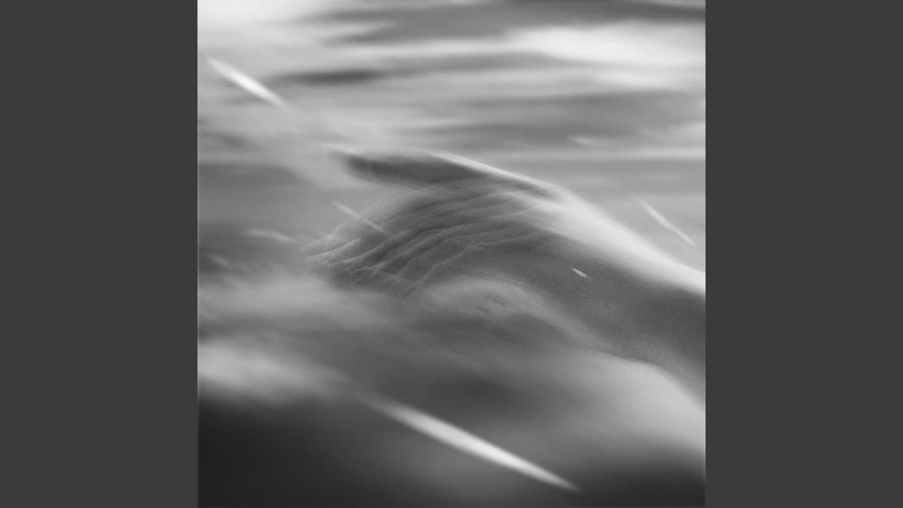 vết thương - fishy