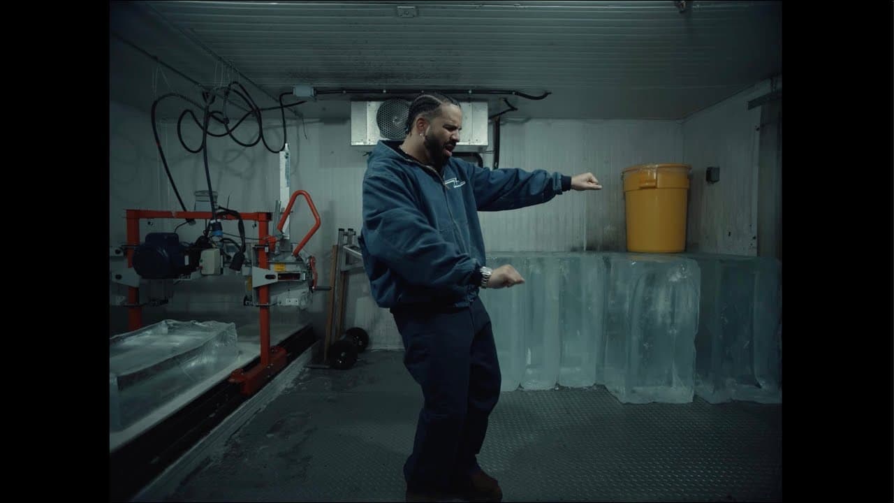 What Did I Miss? - Drake