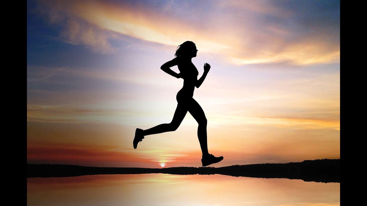 The Gym Beats Vol.4-NONSTOP-MEGAMIX - THE GYM BEATS